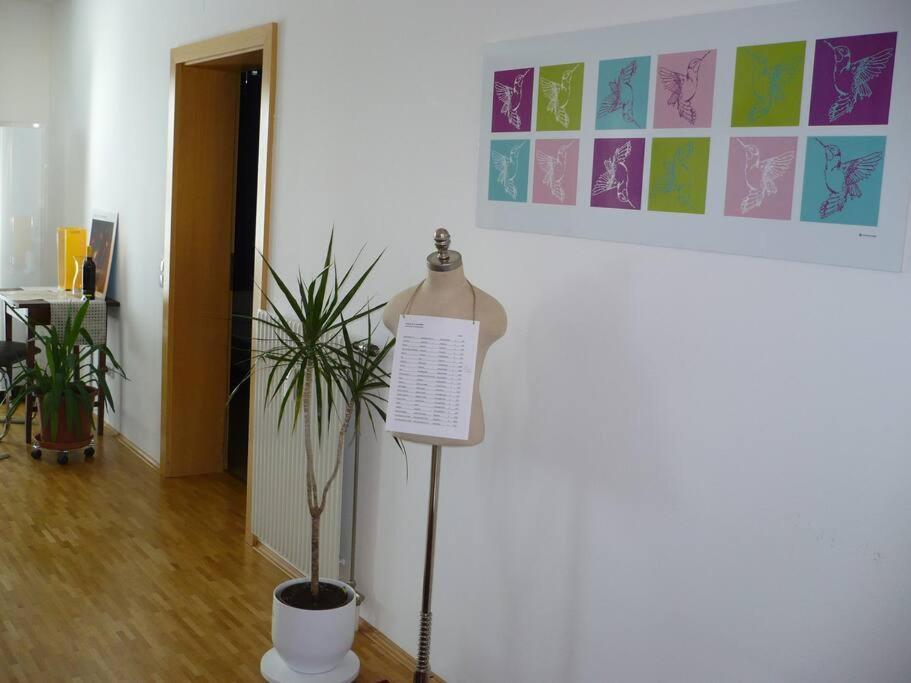 U-Room - Im Herzen Von Graz Buitenkant foto